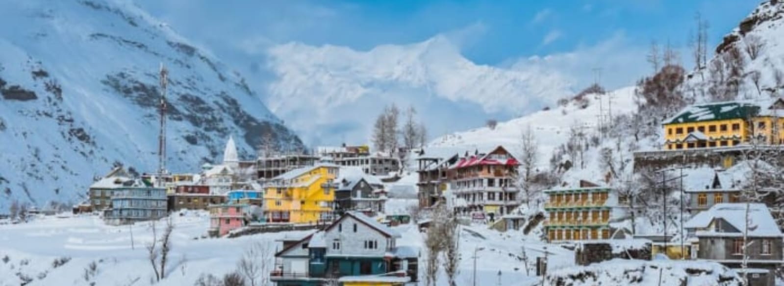 WhatsApp Image 2026-02-10 at 18.59.01