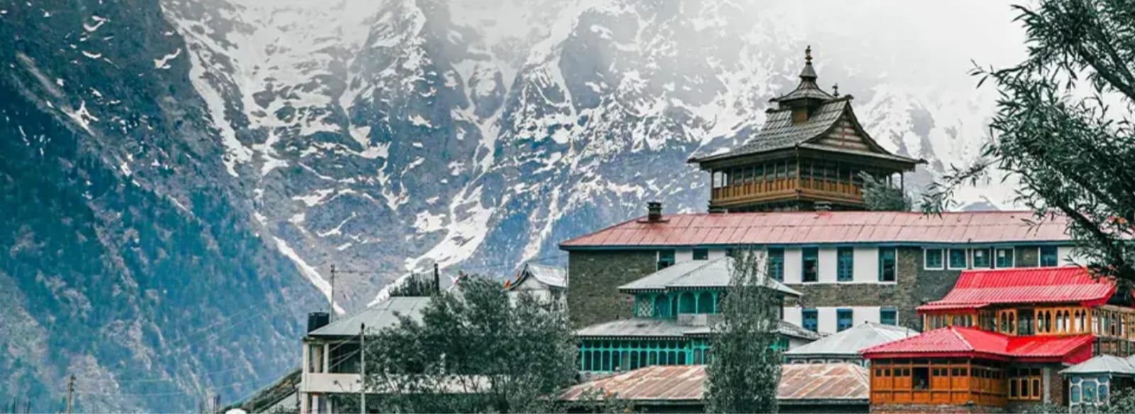 WhatsApp Image 2026-02-10 at 18.59.02 (1)