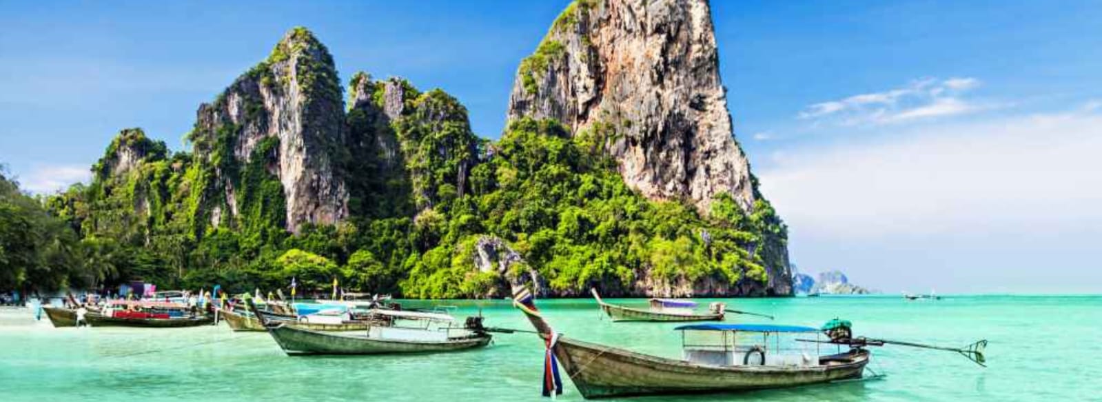 WhatsApp Image 2026-02-10 at 18.59.03 (1)