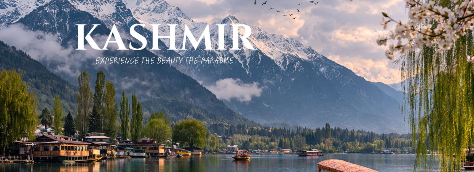 WhatsApp Image 2026-03-14 at 11.33.15