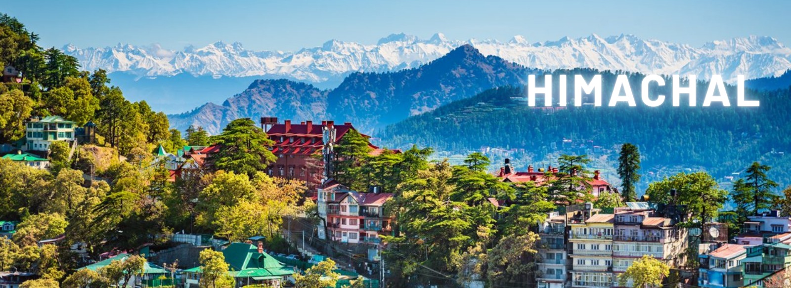 WhatsApp Image 2026-03-14 at 11.33.16 (1)